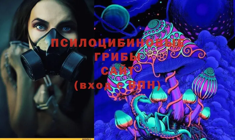 ссылка на мегу   где найти наркотики  Карабаш  Галлюциногенные грибы Cubensis 